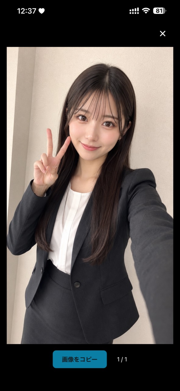 参考画像の全画面表示